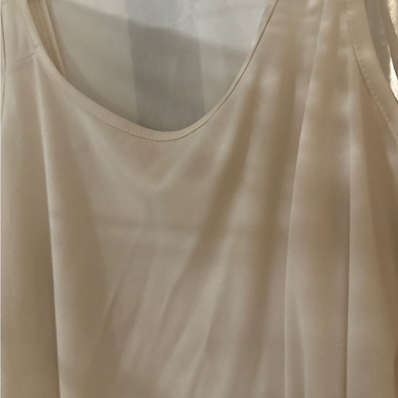 Roz and Ali Elegant sheerCream Blouse with Lace Detailing and matching camisole - Picture 3 of 4